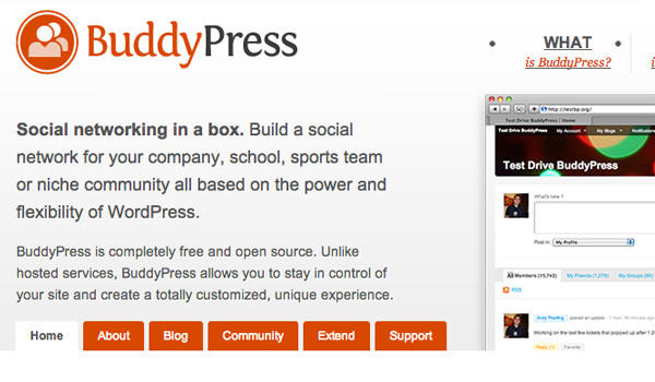BuddyPress 网站布局大约 2009 2010