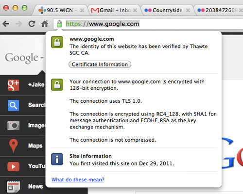 Google 主页的 Google Chrome HTTPS 挂锁图标