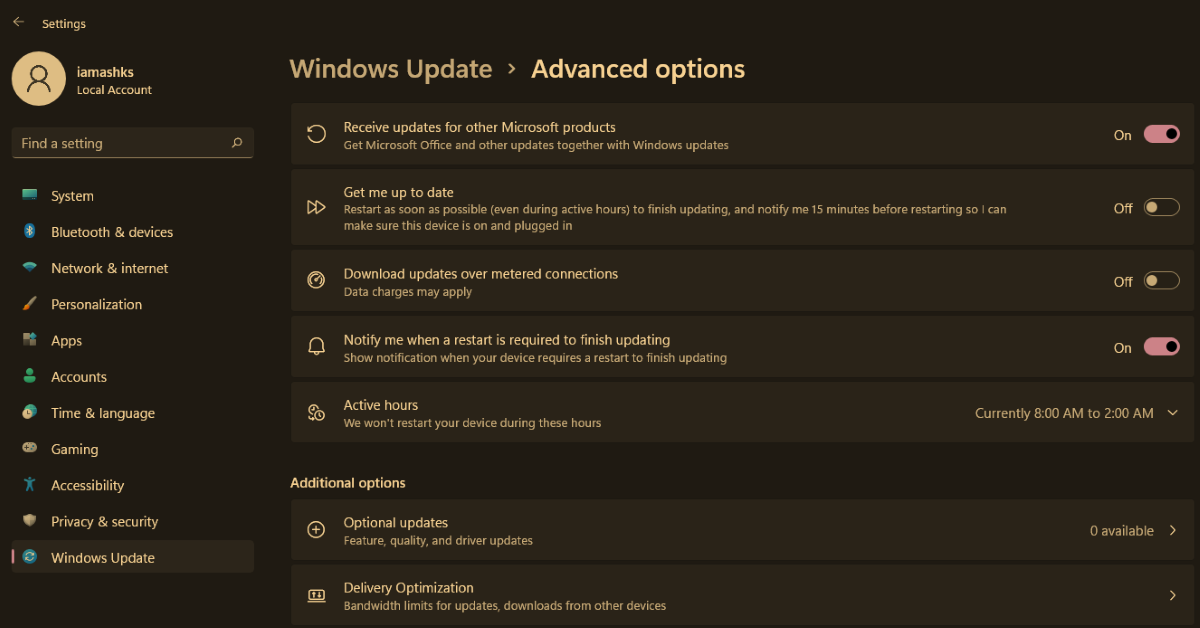 Windows 11 的可选更新