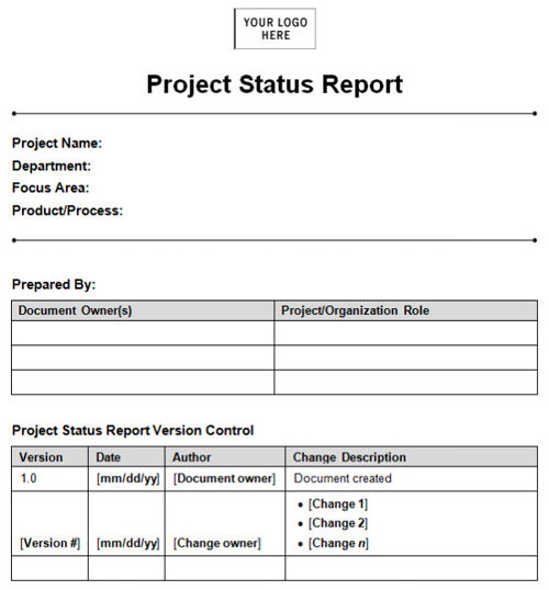 项目状态报告